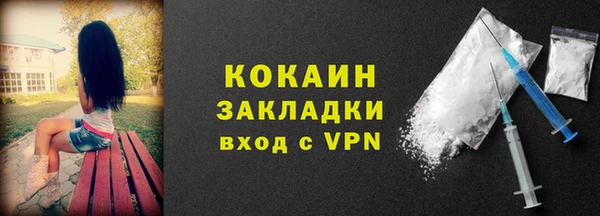 индика Аркадак