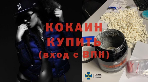 индика Аркадак
