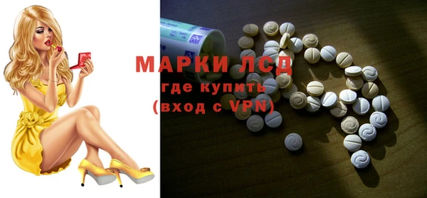 индика Аркадак