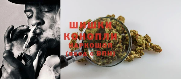 индика Аркадак