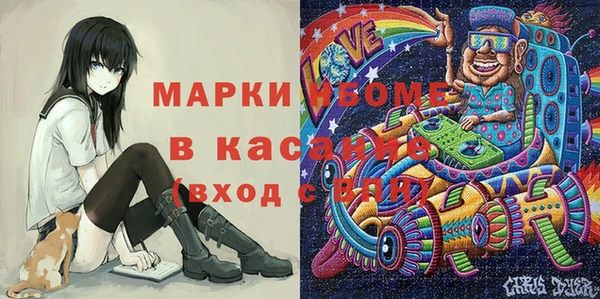 индика Аркадак