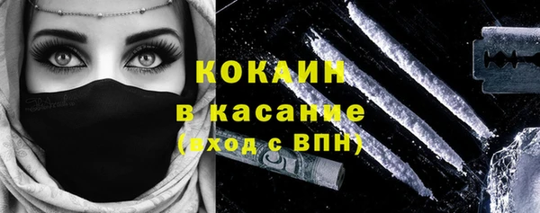 индика Аркадак