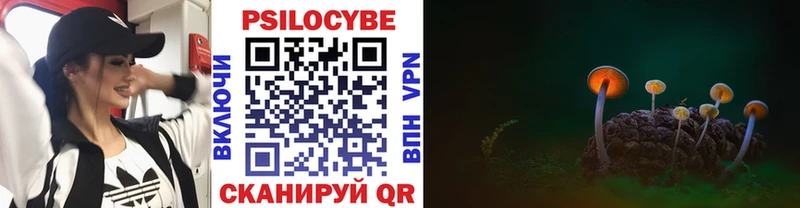 Галлюциногенные грибы Psilocybine cubensis  где купить наркоту  Любань 